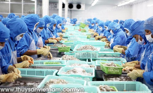 Một năm xuất khẩu thành công của thuỷ sản Việt Nam - ảnh 1